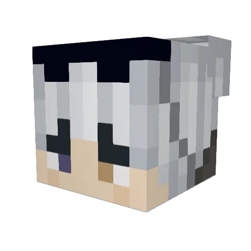 CharlesYT55 Minecraft avatar head, 3D render