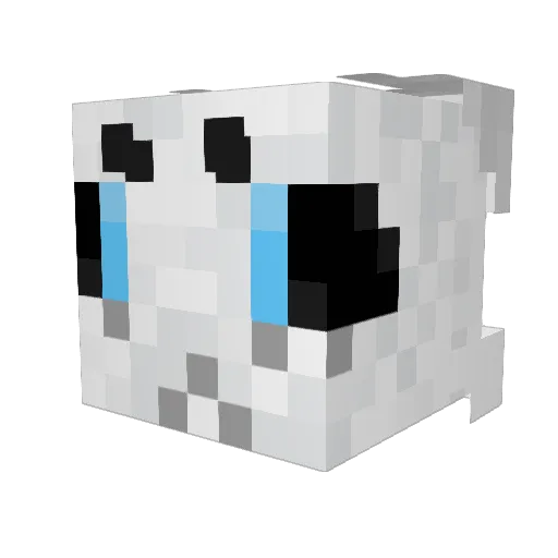 Charles_calvin0 Minecraft avatar head, 3D render