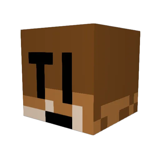 Charlex44 Minecraft avatar head, 3D render