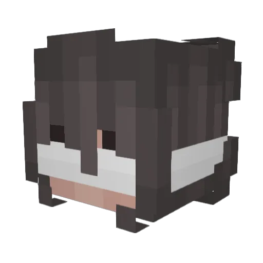 CharleziNNN Minecraft avatar head, 3D render