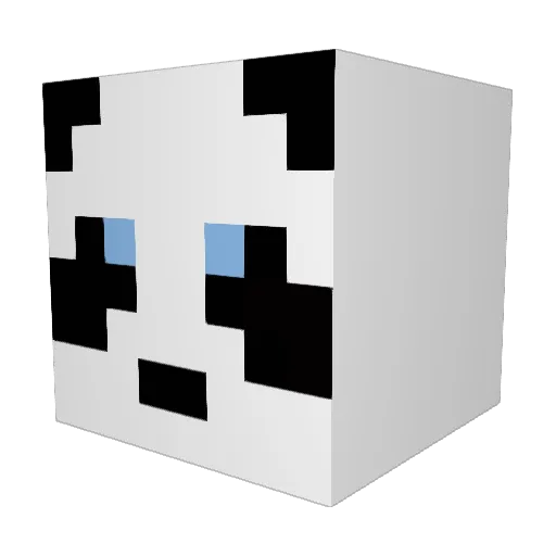 CharliFpSlayer Minecraft avatar head, 3D render