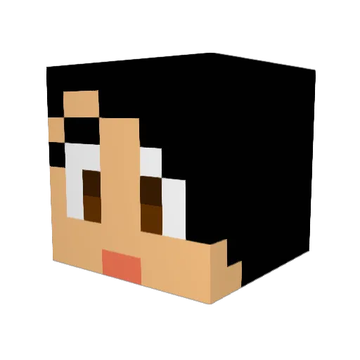 Charlichen Minecraft avatar head, 3D render