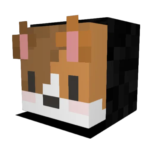 Charlie3982 Minecraft avatar head, 3D render