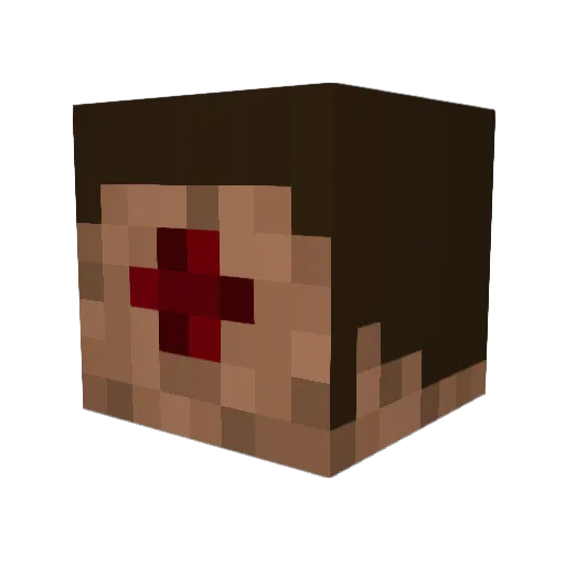 Charlie486 Minecraft avatar head, 3D render
