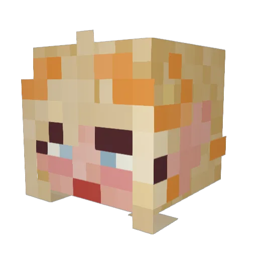 Charlie971 Minecraft avatar head, 3D render