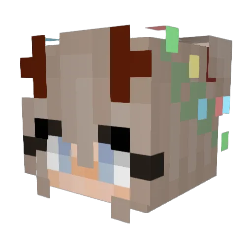 CharlieBear2222 Minecraft avatar head, 3D render