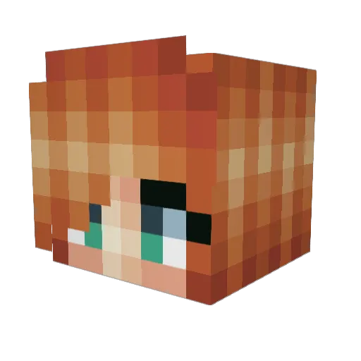 CharlieBear379 Minecraft avatar head, 3D render