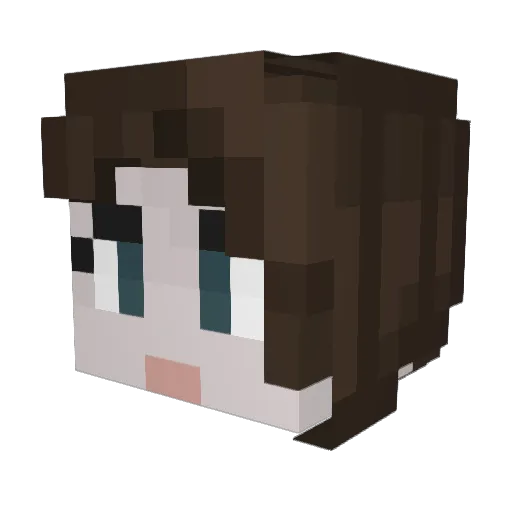 CharlieBo_Barlie Minecraft avatar head, 3D render