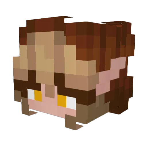 CharlieCelestial Minecraft avatar head, 3D render