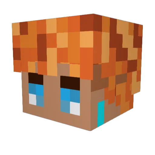 CharlieEchoFive Minecraft avatar head, 3D render