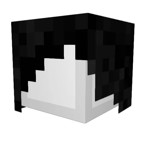 CharlieHau14 Minecraft avatar head, 3D render