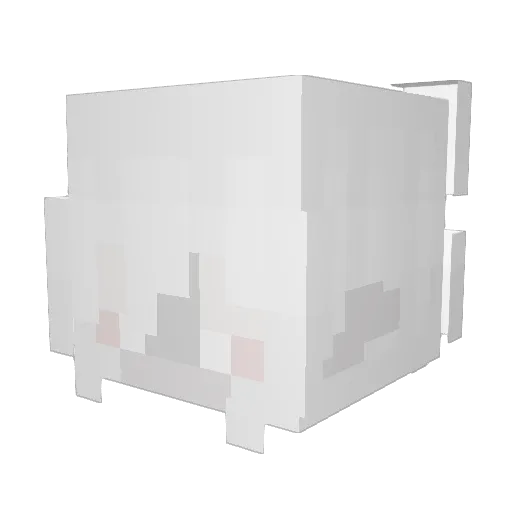 CharlieWang21 Minecraft avatar head, 3D render