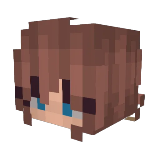 CharlieWasHere_ Minecraft avatar head, 3D render