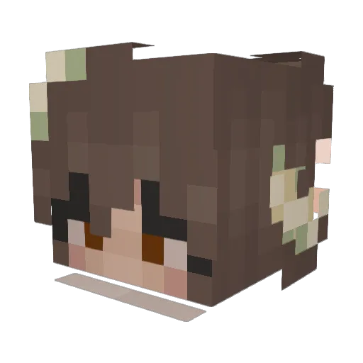 Charlie_193 Minecraft avatar head, 3D render
