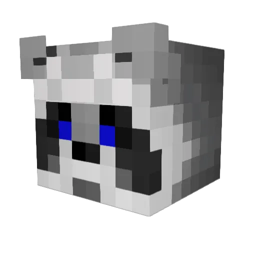 Charlie_Anise Minecraft avatar head, 3D render