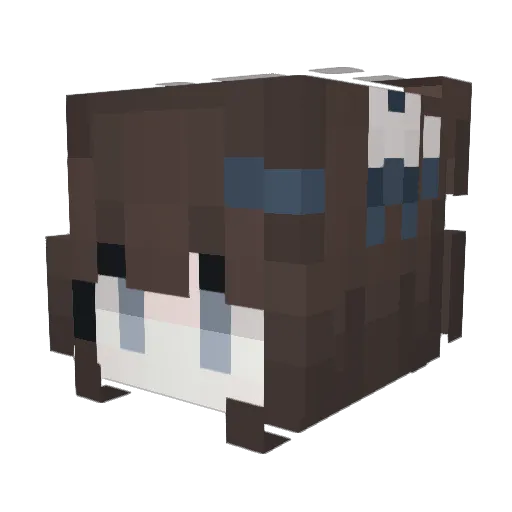 Charlie_c4rlie Minecraft avatar head, 3D render