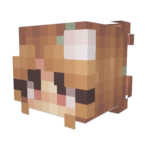 Charliee13 Minecraft avatar head, 3D render