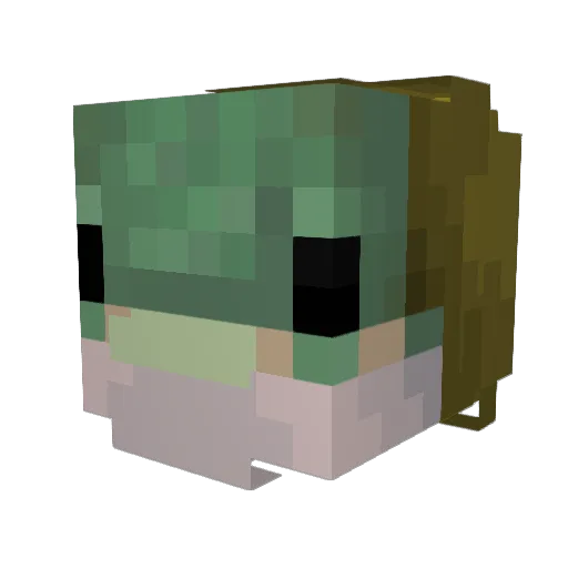 Charliefish5 Minecraft avatar head, 3D render