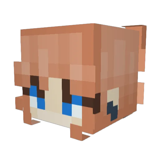 CharlinaDo Minecraft avatar head, 3D render