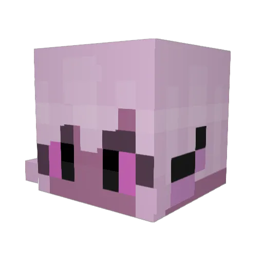 CharlotTheBerry Minecraft avatar head, 3D render