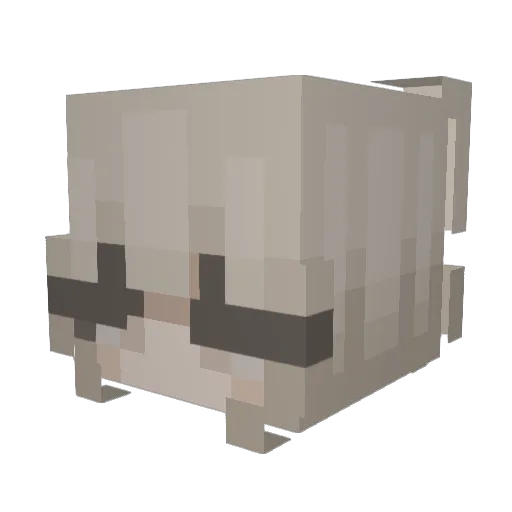 Charlotte838 Minecraft avatar head, 3D render