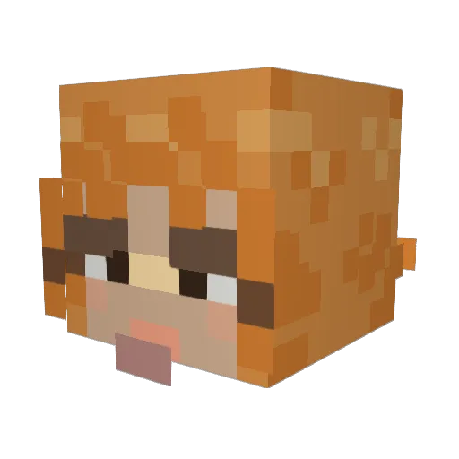 CharlotteClapped Minecraft avatar head, 3D render