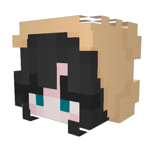 CharlotteWasHere Minecraft avatar head, 3D render