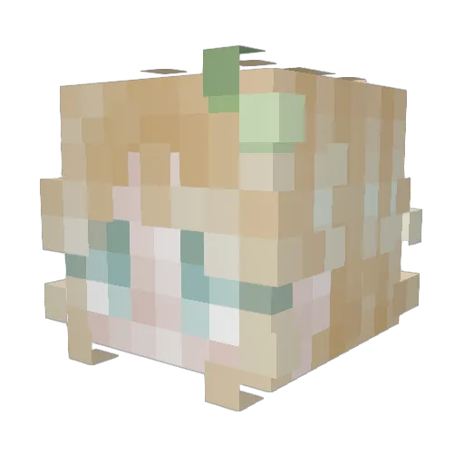 Charlotte_Light Minecraft avatar head, 3D render