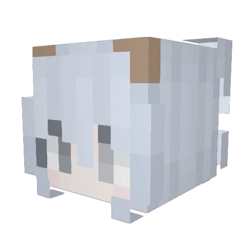 Charlottesss Minecraft avatar head, 3D render