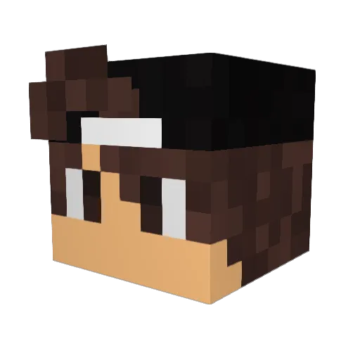 Charls_Hi Minecraft avatar head, 3D render
