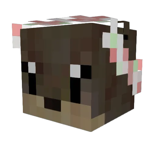 Charluut Minecraft avatar head, 3D render