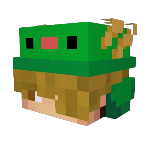 Charly0075 Minecraft avatar head, 3D render