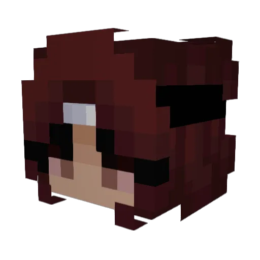 Charly2203 Minecraft avatar head, 3D render