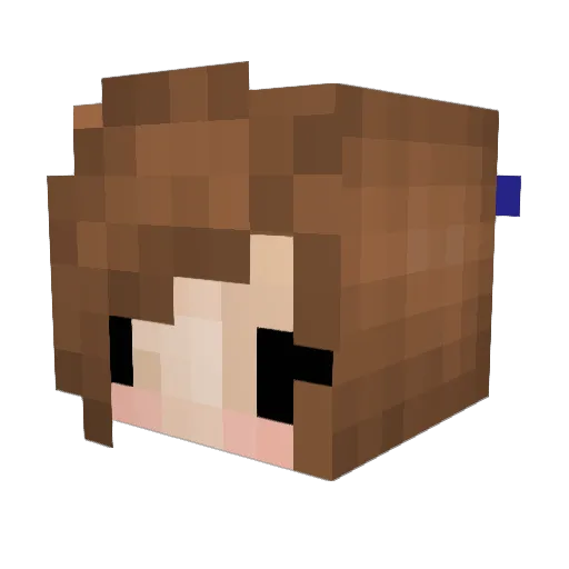 Charly77778 Minecraft avatar head, 3D render