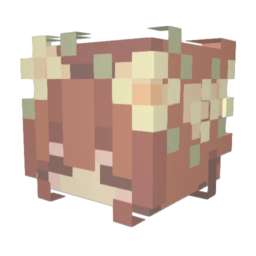 CharlySnow Minecraft avatar head, 3D render