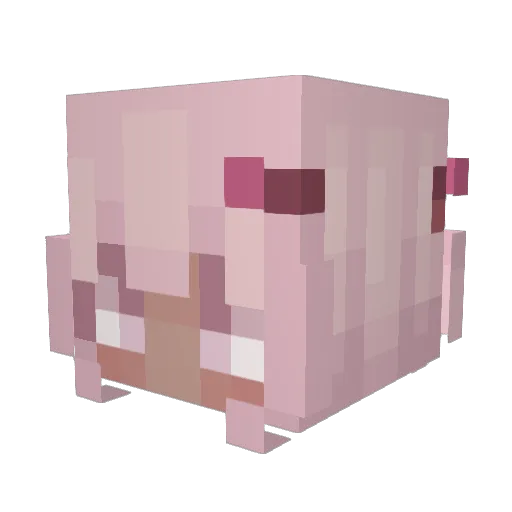 CharlyX0x0 Minecraft avatar head, 3D render