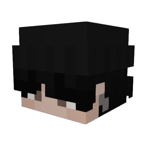 Charly_20 Minecraft avatar head, 3D render