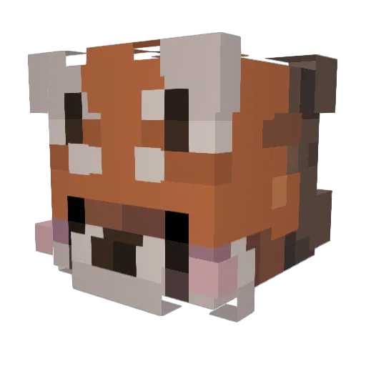 Charlylyw Minecraft avatar head, 3D render