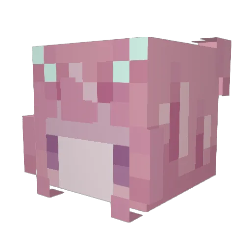 Charlymelon Minecraft avatar head, 3D render