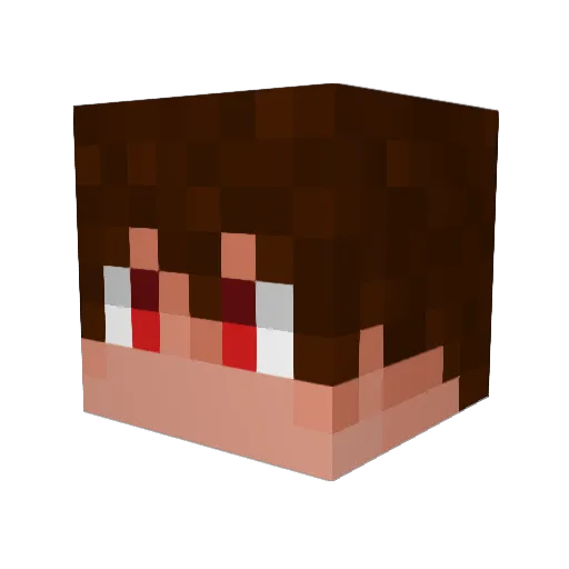CharlysCT Minecraft avatar head, 3D render