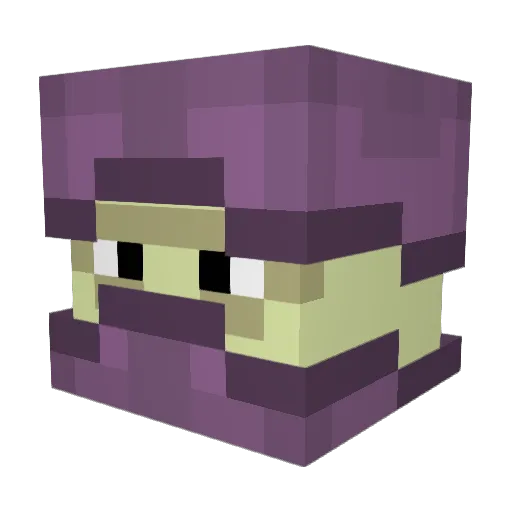 CharmDa3rd Minecraft avatar head, 3D render