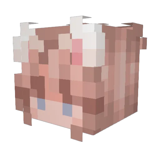 Charmandyz Minecraft avatar head, 3D render