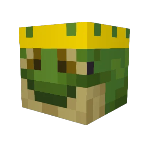 CharmeleonKid Minecraft avatar head, 3D render