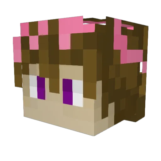 Charming_TCO Minecraft avatar head, 3D render