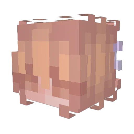 Charnadian Minecraft avatar head, 3D render
