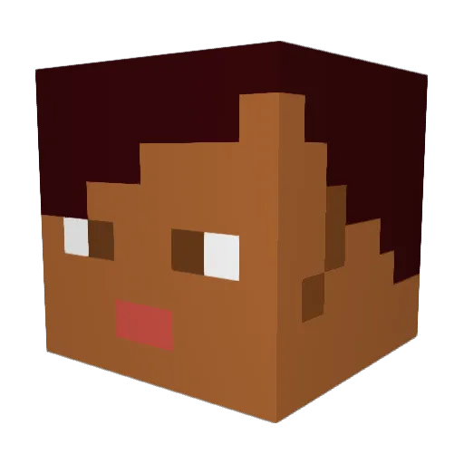 Charqs Minecraft avatar head, 3D render