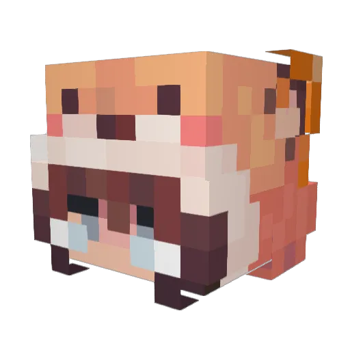 CharrieDW Minecraft avatar head, 3D render
