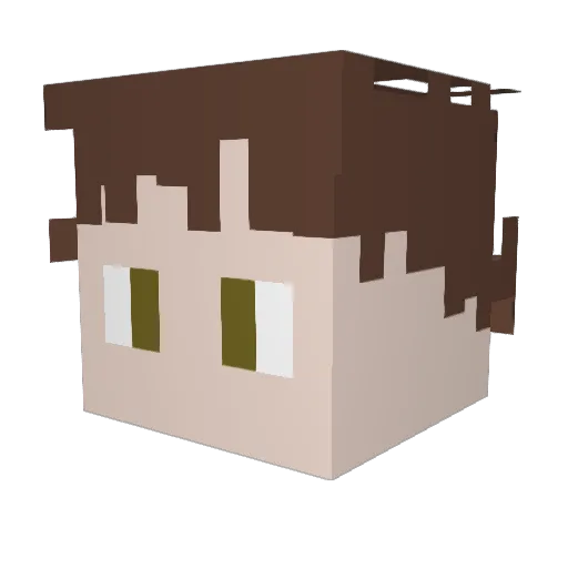 Charrnom Minecraft avatar head, 3D render
