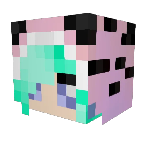 Charro202 Minecraft avatar head, 3D render