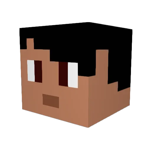 Charro56 Minecraft avatar head, 3D render